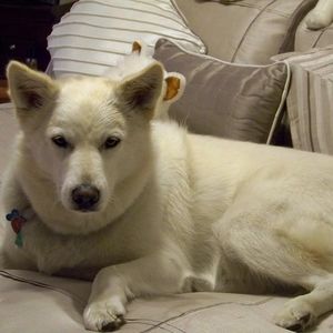 Meet your Posher, Helen